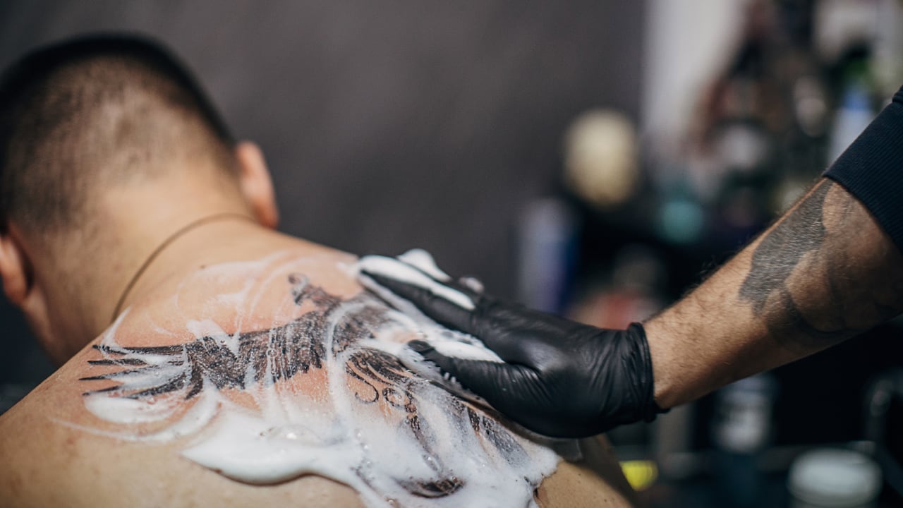 (Imagen de referencia).