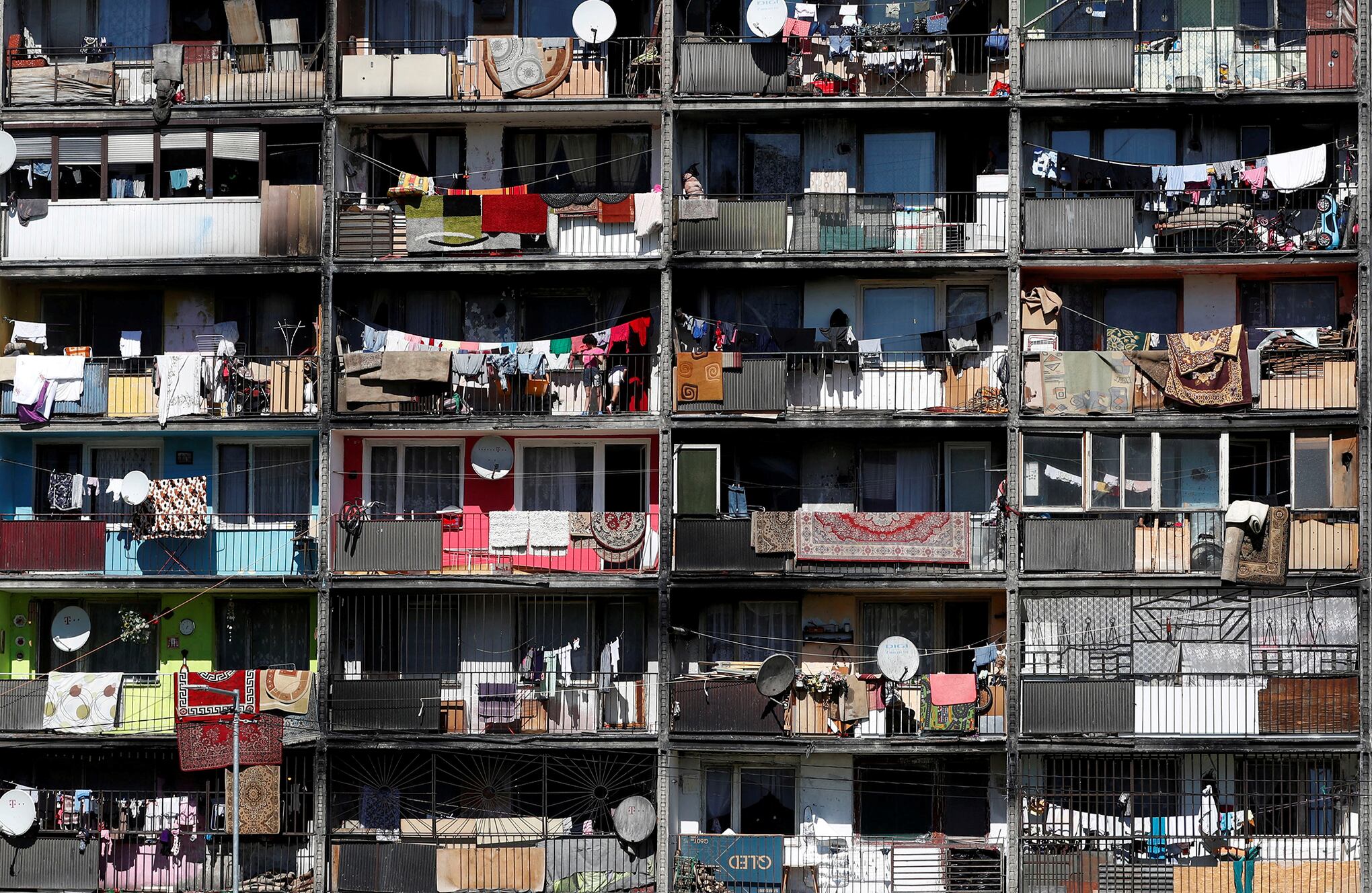 Fotos de la semana 10 sept