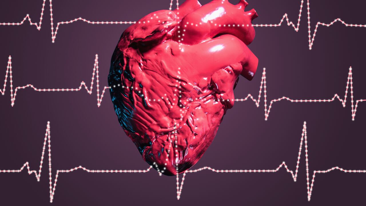 Model of human heart behind illustrated ECG traces, studio shot