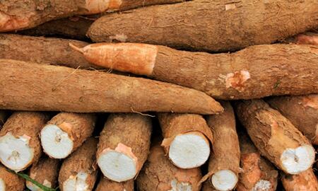 La yuca debe ser consumida de forma moderada.