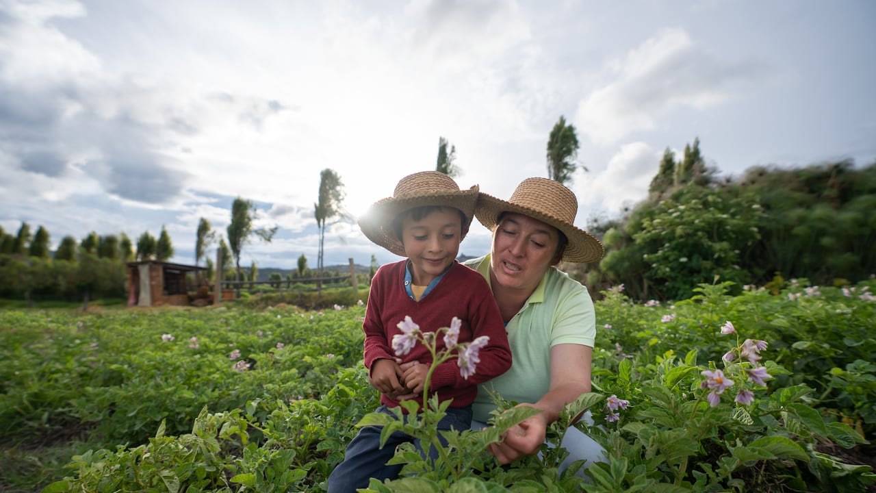 Este proyecto busca potenciar las herramientas para las zonas rurales.