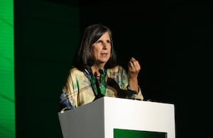 CUMBRE DE SOSTENIBILIDAD