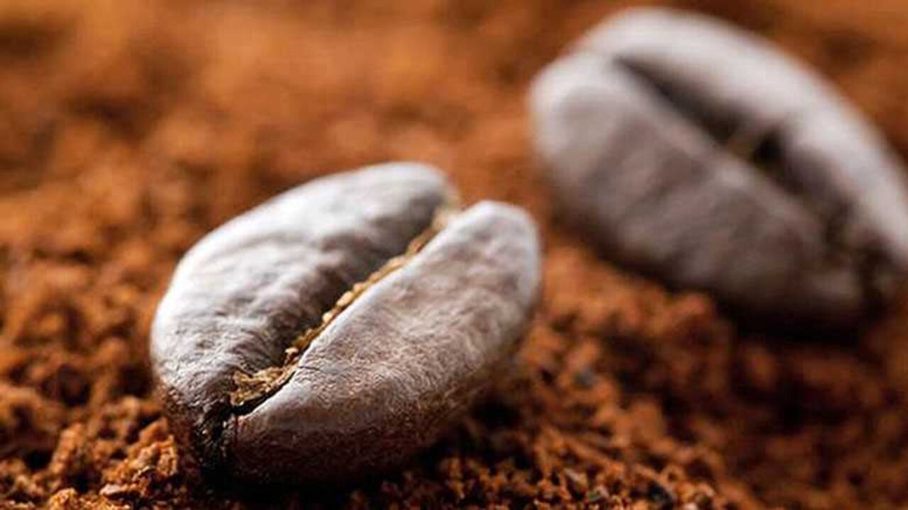 El mes pasado fueron exportados 483.000 sacos del grano.