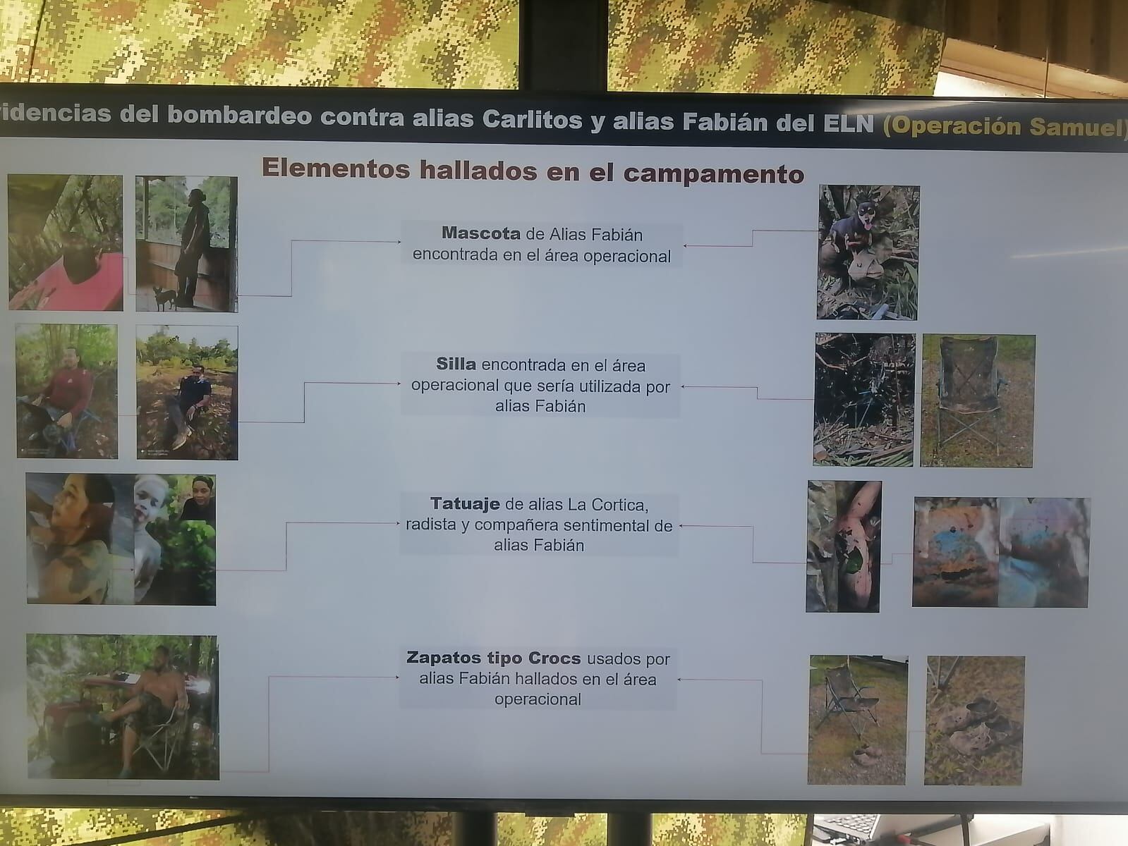 La mascota de alias Fabian, el cabecilla del ELN que sobrevivió a un bombardeo en el Chocó