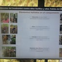 La mascota de alias Fabian, el cabecilla del ELN que sobrevivió a un bombardeo en el Chocó