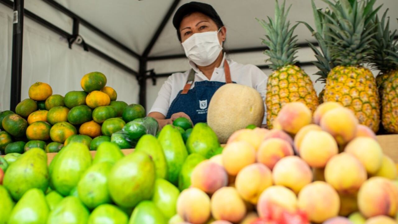 La plazoleta exterior Jardín Botánico de Bogotá recibirá este sábado 5 y domingo 6 de febrero donde agricultores urbanos y productores campesinos se reunirán en una jornada de 'Bogotá es mi Huerta'.