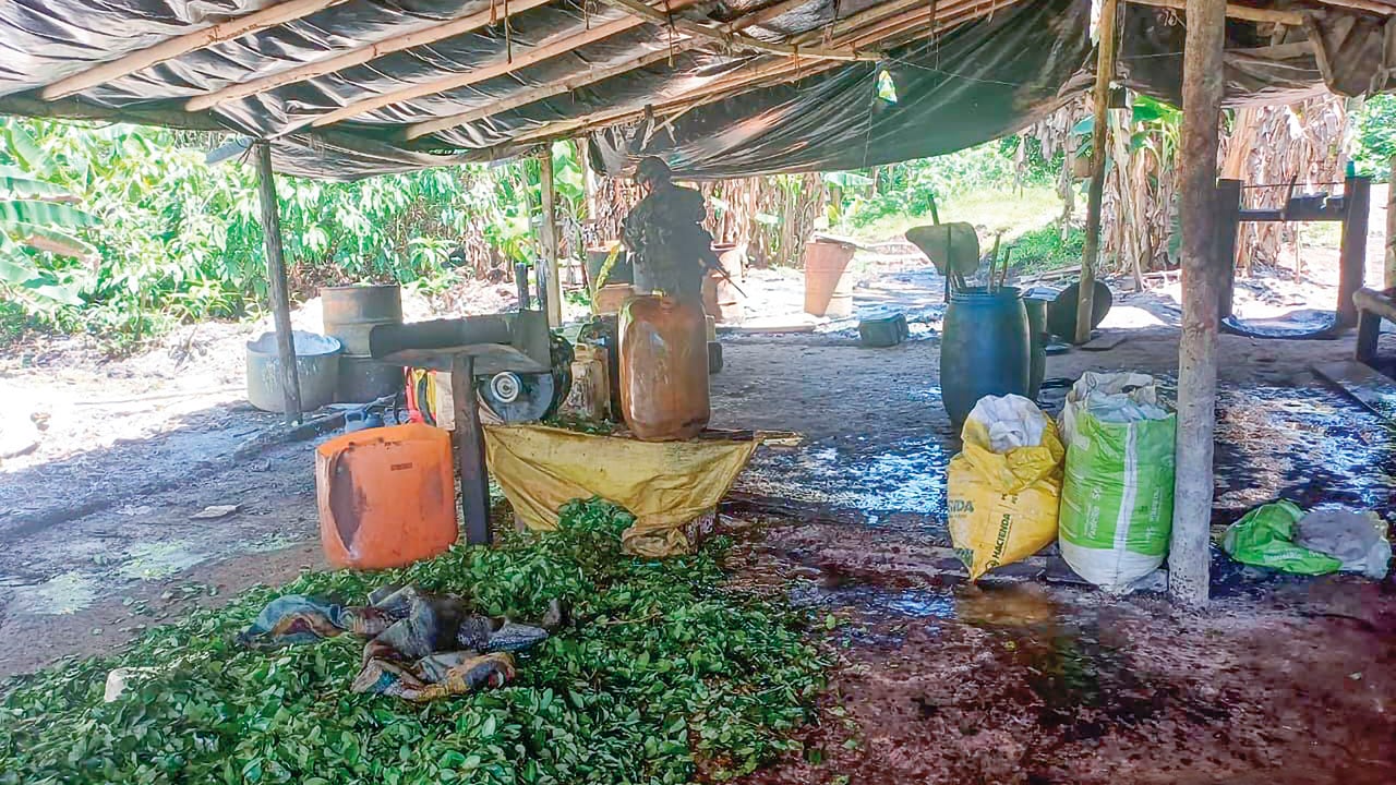 Según la Oficina de las Naciones Unidas contra la Droga y el Delito, en Colombia se concentra el 67 por ciento de la producción de hoja de coca en el mundo.