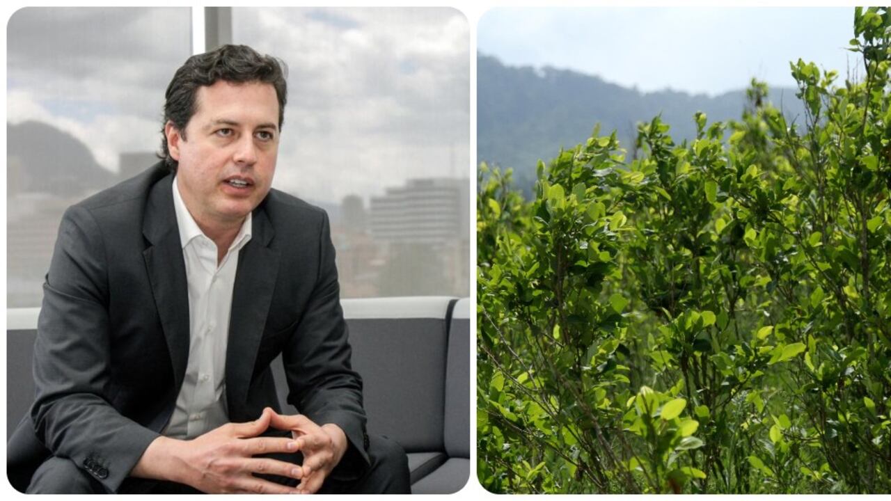 Juan Manuel Galán y su denuncia sobre lavado de activos en algunas regiones de Colombia provocado por la coca.