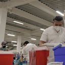 Surgen nuevas estrategias en el mundo para contrarrestar la pandemia del covid 19