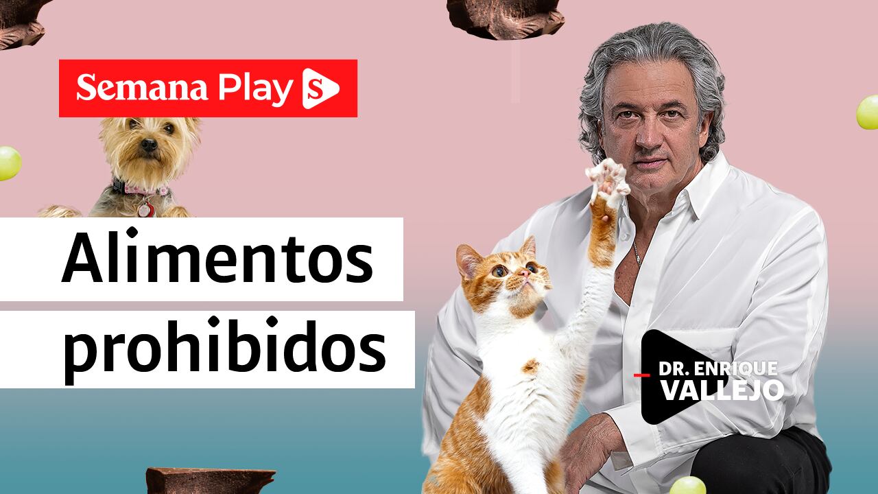 Alimentos prohibidos | Enrique Vallejo en Salud Animal
