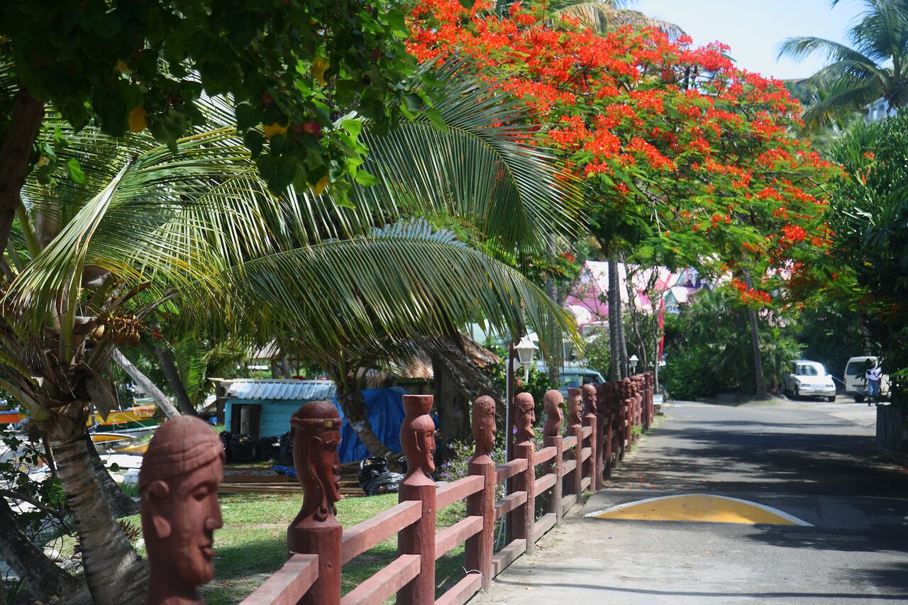 Trinidad y Tobago, dos islas de las Antillas Menores que no puede dejar de conocer