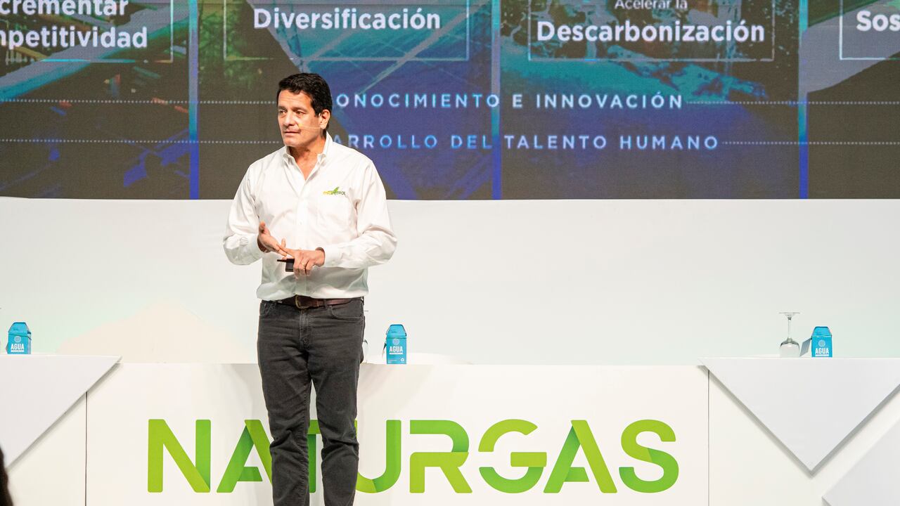 Foto: Cortesía Congreso Naturgas 2021