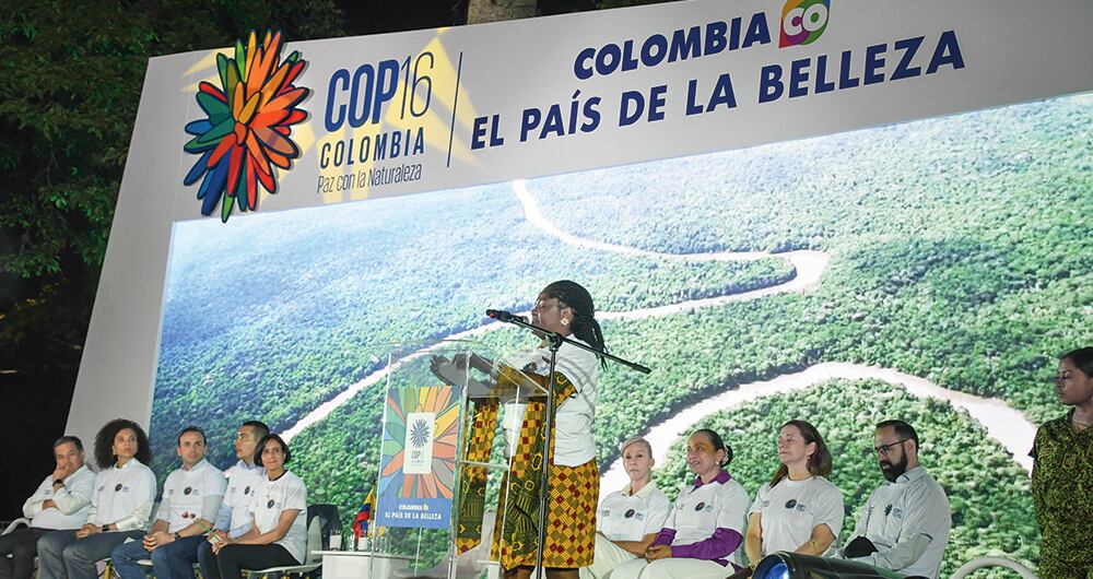    Colombia fue anunciada como sede de la COP16 de la Biodiversidad en diciembre de 2023, cuando Turquía desistió de albergar el evento y quedaban solo diez meses para que este tuviera lugar.
