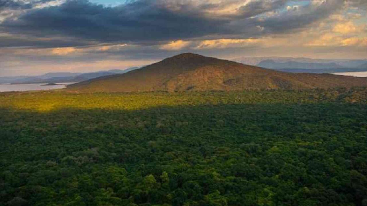 Etiopía ha perdido parte de sus bosques durante los últimos años.