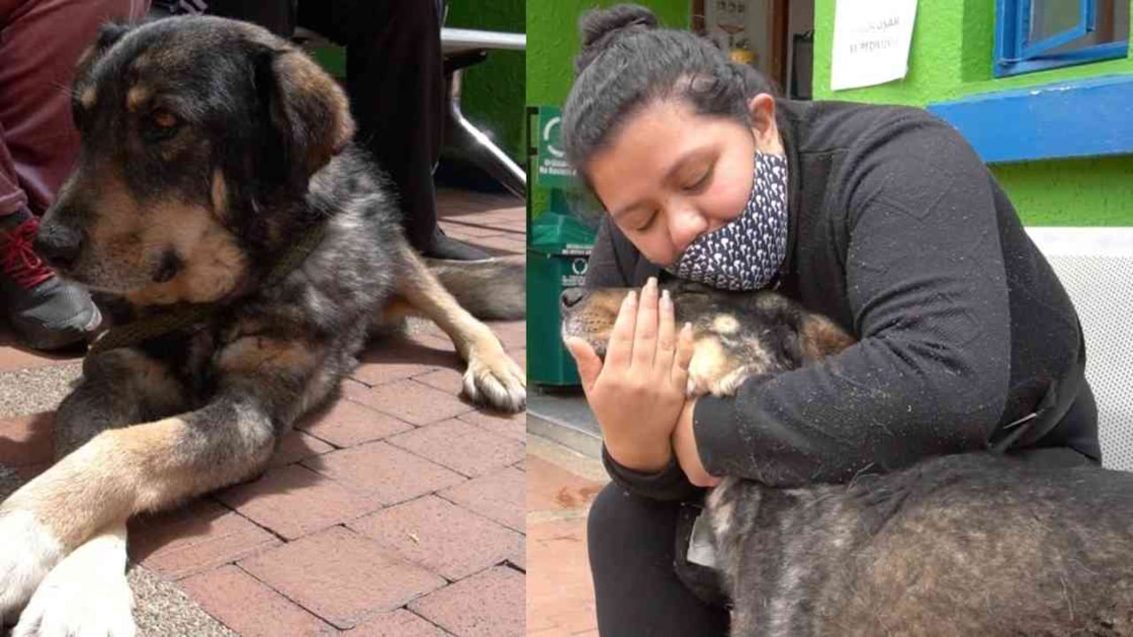 Luego de cinco meses, Bruno y Johana Soto se reencontraron. Foto: IDPYBA.