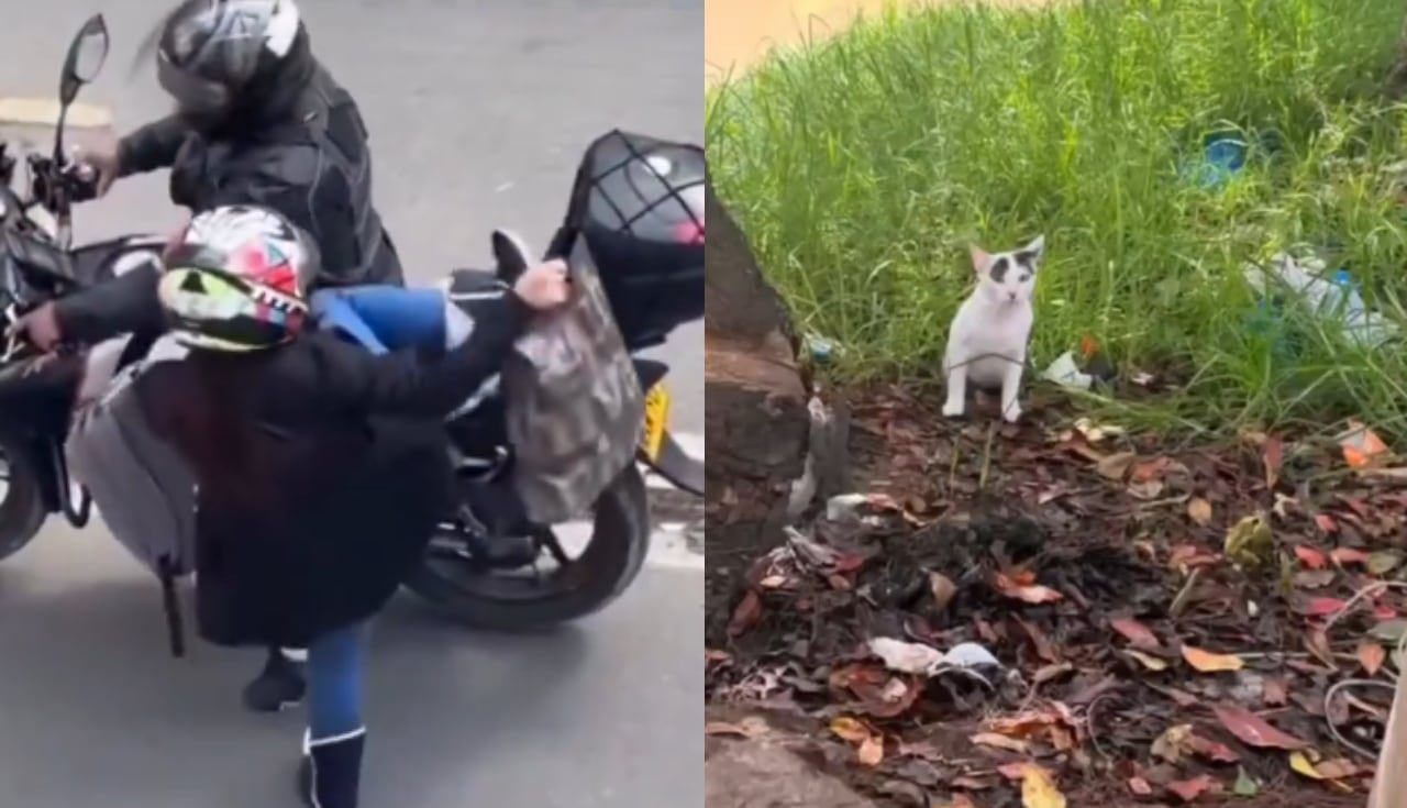 La comunidad exige dar con el paradero de los responsables.