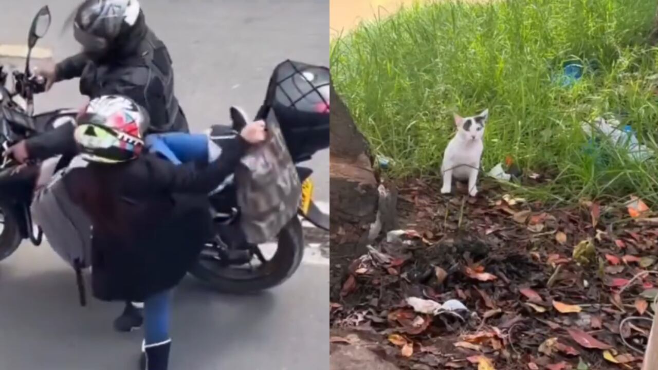 La comunidad exige dar con el paradero de los responsables.