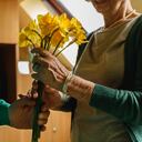 A medida que el día bisiesto se acerca, aumenta la curiosidad sobre la tradición de obsequiar flores amarillas el 29 de febrero.