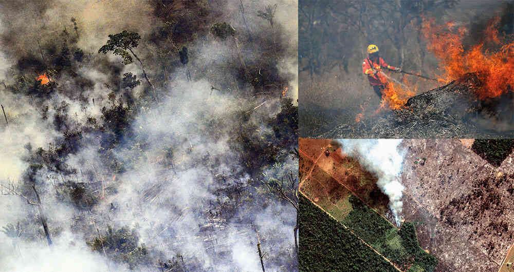 Récord de incendios en Brasil: la selva amazónica está en peligro.