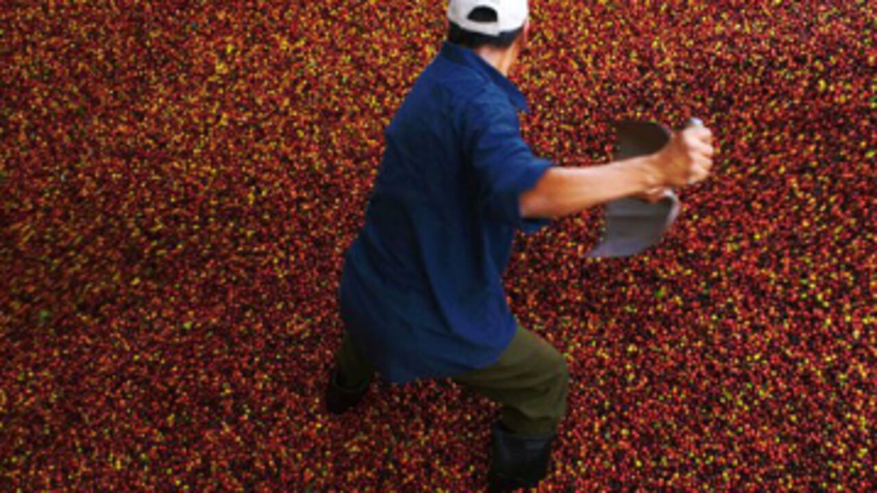 El gremio cafetero recordó que una altísima proporción del café colombiano es exportado a más de 80 países, razón por la cual los productores de café del país no se oponen y que por el contrario ven con buenos ojos los Tratados de Libre Comercio.