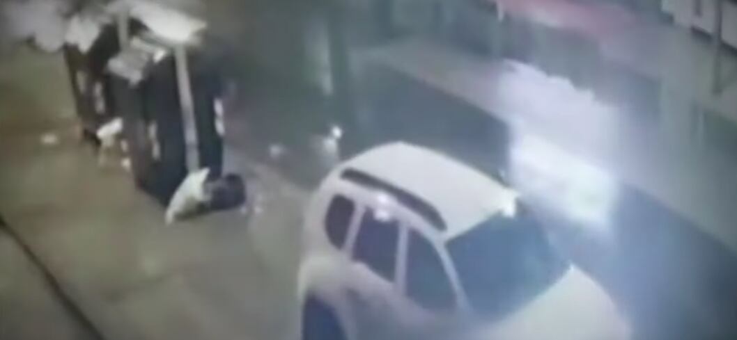 Contenedor de la basura