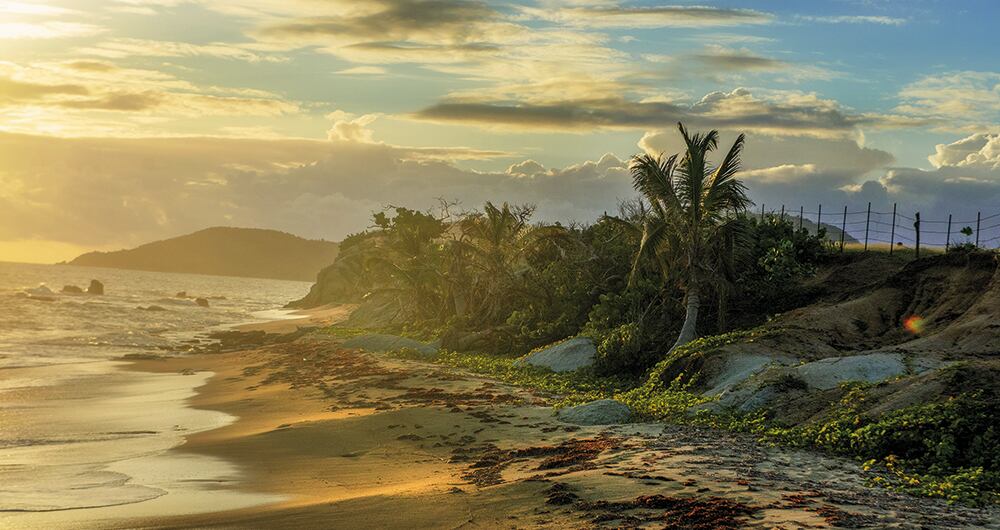 Playa La Negra, Puerto Rico