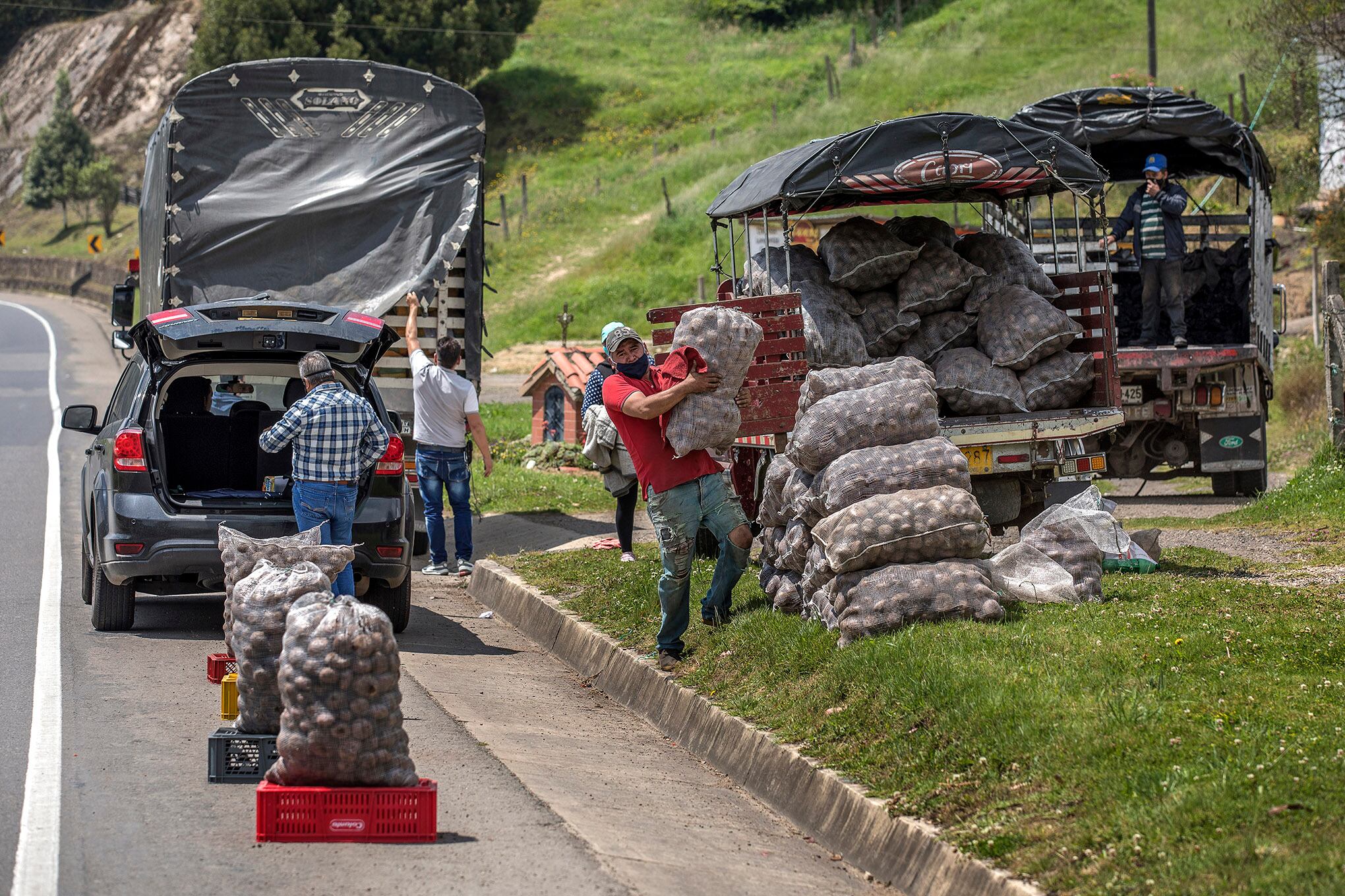 Cultivo papa Ventaquemada