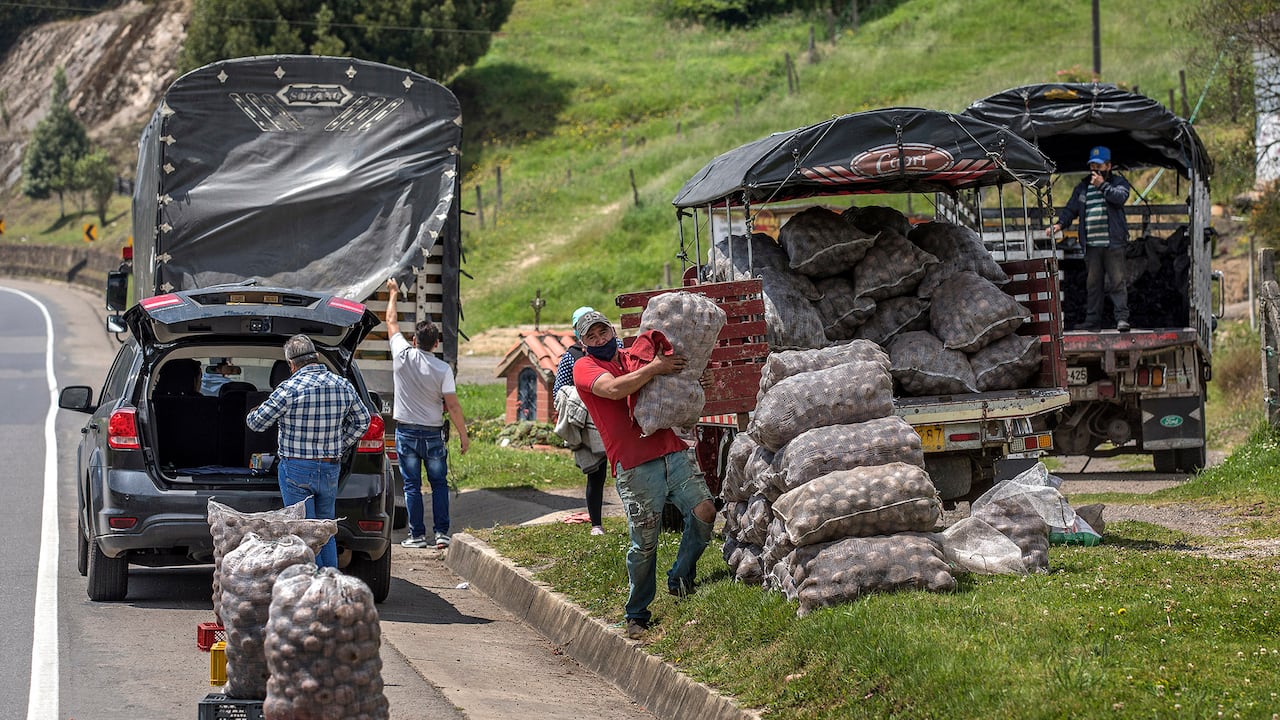 Campesinos cultivadores de papa. Ventaquemada Boyacá Noviembre de 2020.
Foto: Juan Carlos Sierra-Revista Semana.