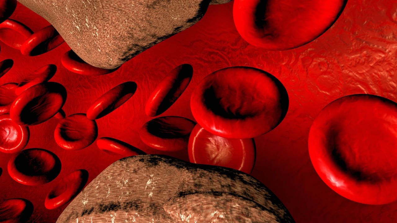 Los triglicéridos le dan energía al cuerpo a través de calorías que están depositadas.