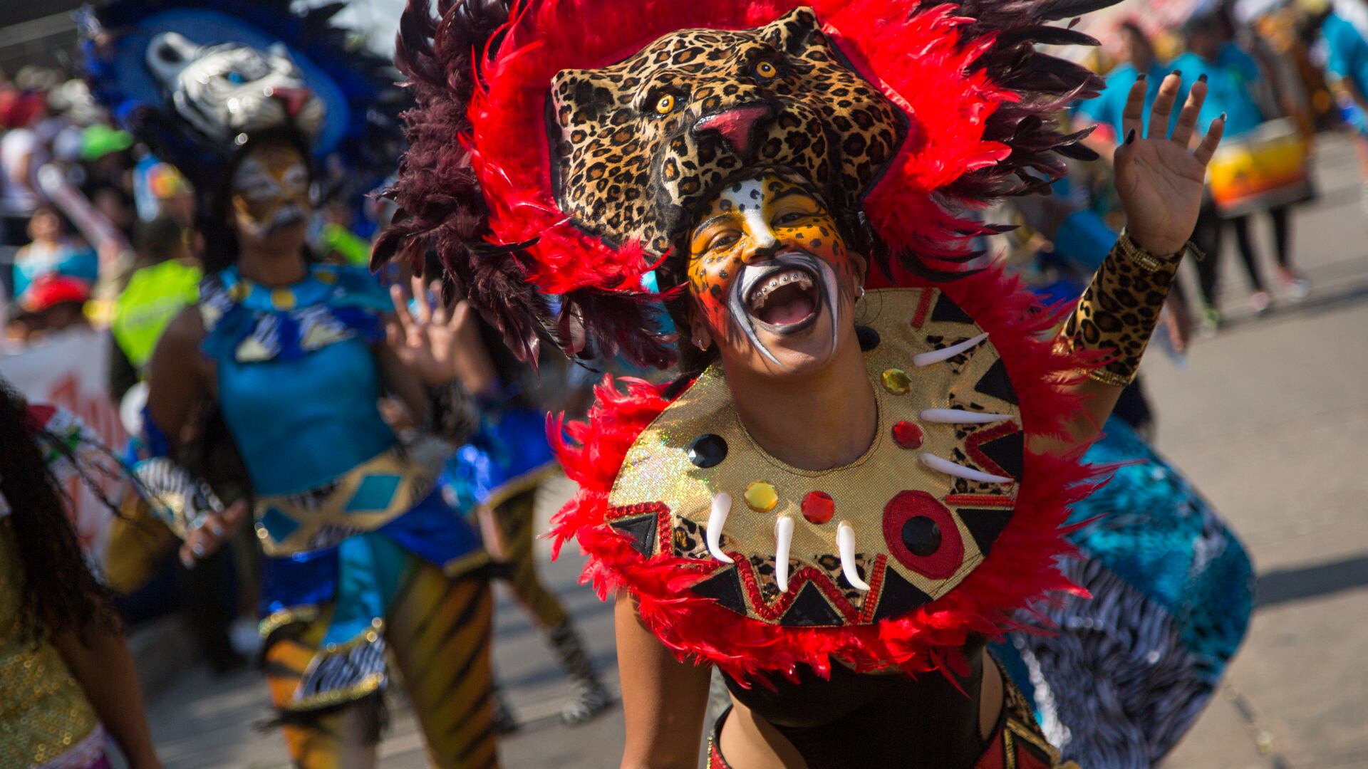 La fiesta volverá el próximo año a las calles de la Puerta de Oro de Colombia.