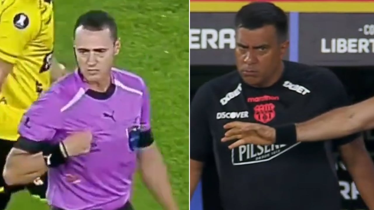 Wilmar Roldán y César Farías en el partido de Barcelona vs. Botafogo.