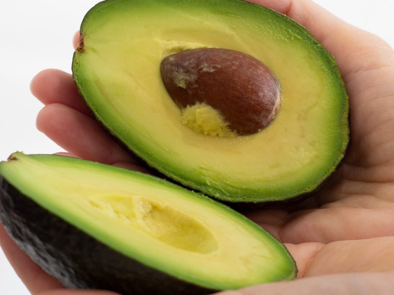 Cuál es la forma correcta de sembrar una semilla de aguacate? - Semana