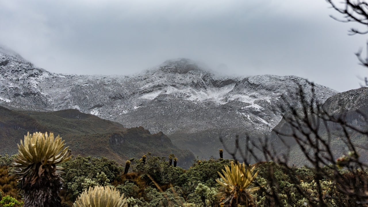 Parque Nacional Natural Los Nevados