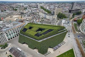 El edificio comercial y de oficinas KII, plantado con más de 30.000 carpes, se muestra en el centro de la ciudad de Düsseldorf, Alemania, el miércoles 28 de junio de 2023. La fachada verde más grande de Europa mejora el microclima en el edificio y absorbe tanto CO2 como 80 grandes árboles de hoja caduca para ayudar a combatir el cambio climático. Foto: AP/Martin Meissner.