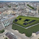 El edificio comercial y de oficinas KII, plantado con más de 30.000 carpes, se muestra en el centro de la ciudad de Düsseldorf, Alemania, el miércoles 28 de junio de 2023. La fachada verde más grande de Europa mejora el microclima en el edificio y absorbe tanto CO2 como 80 grandes árboles de hoja caduca para ayudar a combatir el cambio climático. Foto: AP/Martin Meissner.