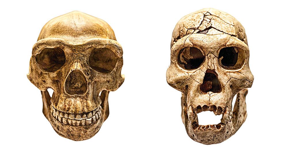 Científicos europeos obtuvieron el ‘retrato de familia humana’ más antiguo que se conoce.