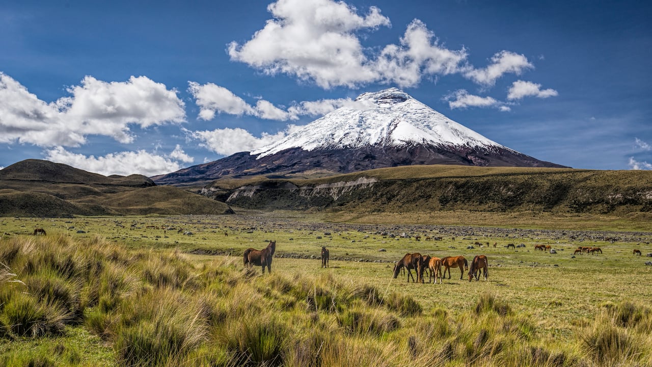 El volcán Cotopaxi se encuentra en el Parque Nacional que lleva el mismo nombre.