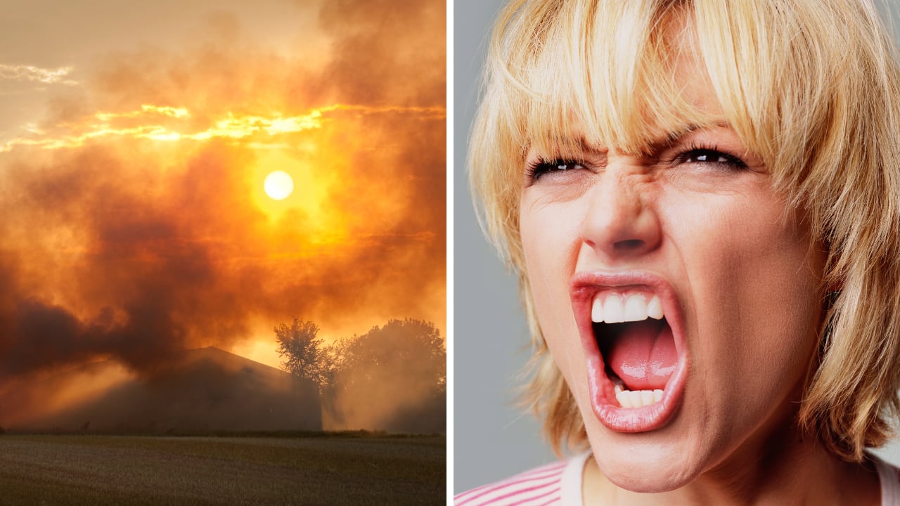 La violencia aumenta con las altas temperaturas