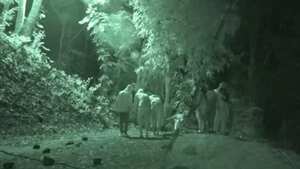 Los participantes tuvieron la visita de una 'extraña' presencia.