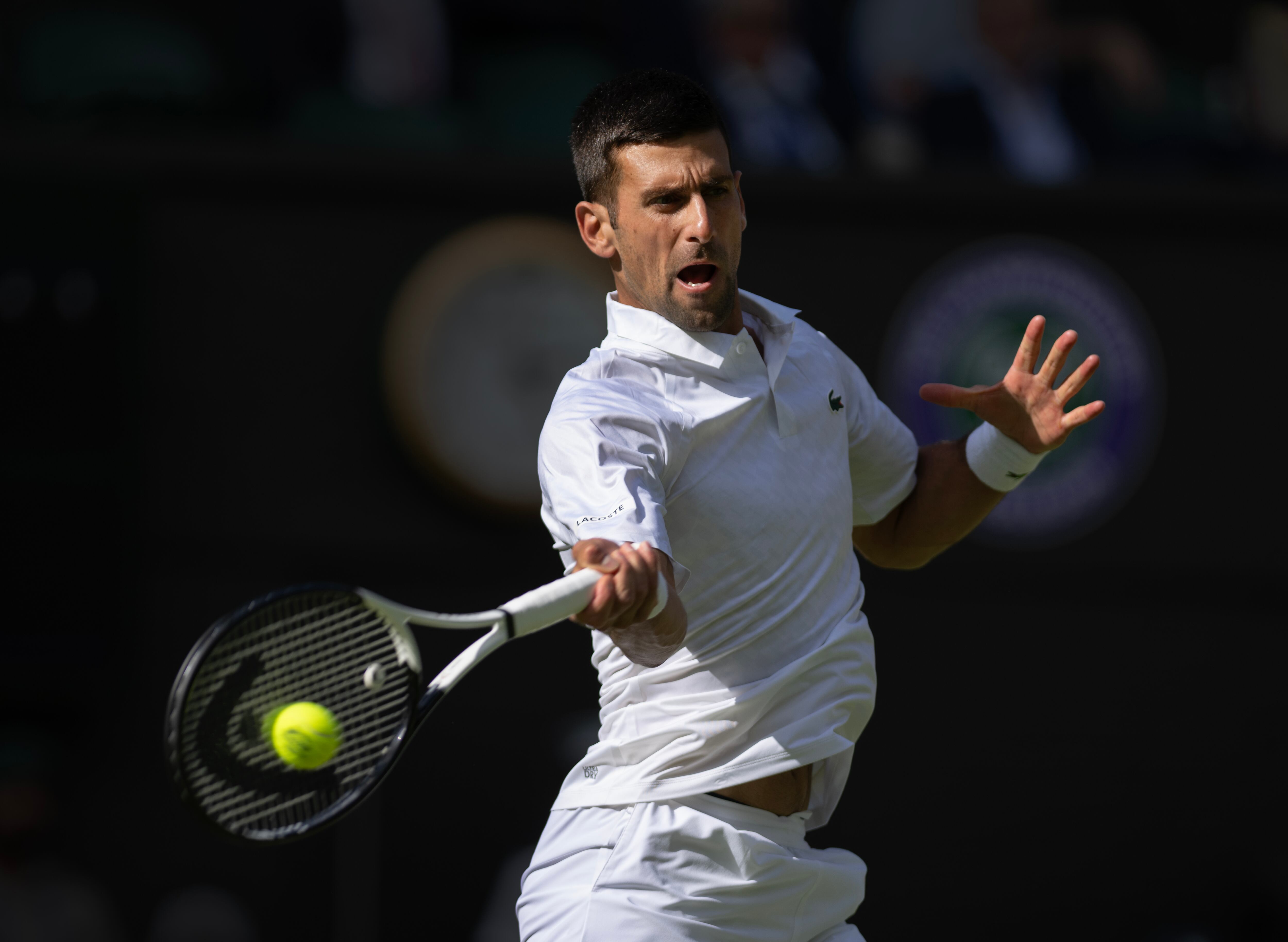 El serbio también avanzó a la tercera ronda.