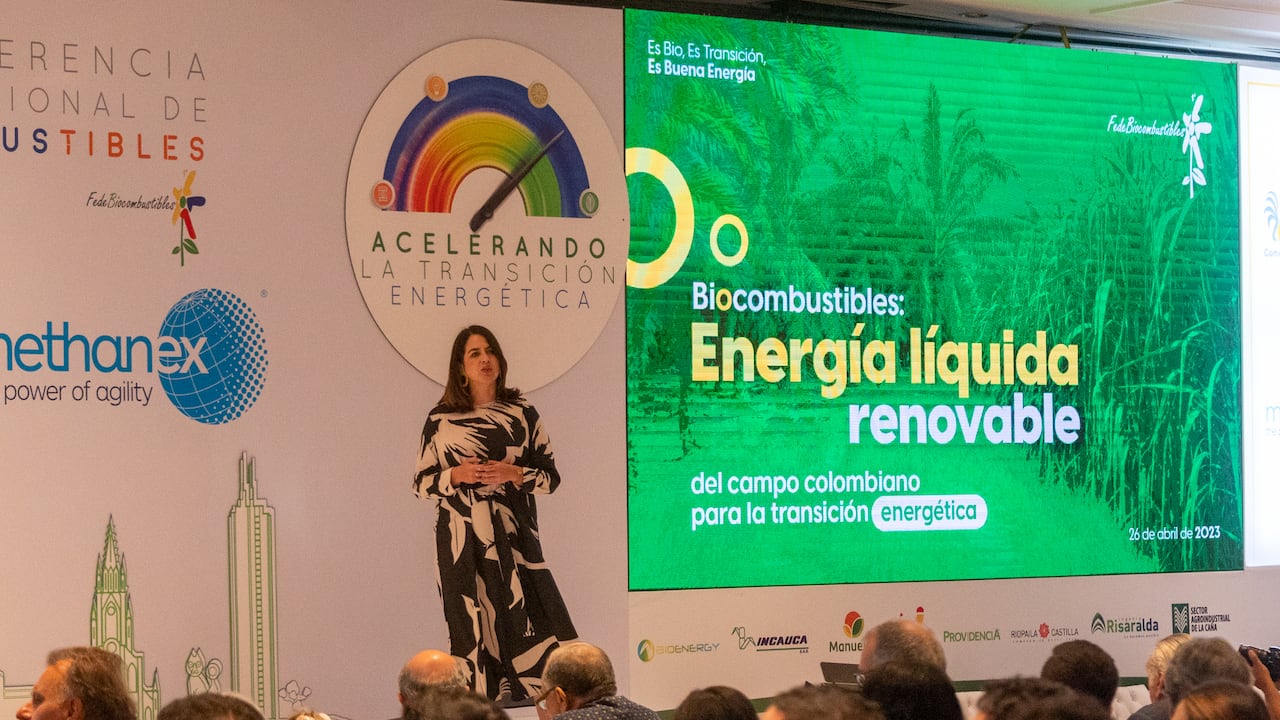 De acuerdo con el marco de la Conferencia, se manifiesta que es necesario generar un trabajo colectivo entre los distintos actores de la cadena para lograr la meta establecida para el año 2030.