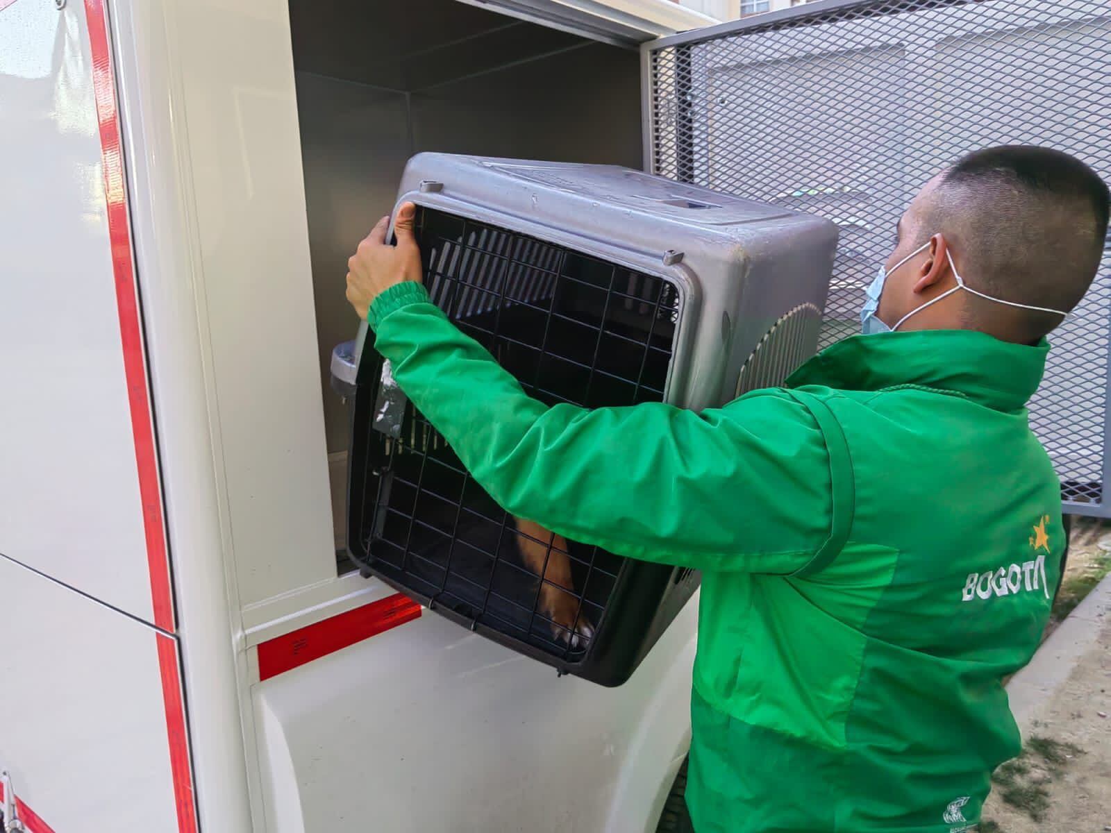 Cada unidad móvil cuenta con huacales para albergar a siete animales, seis medianos y uno de talla grande.