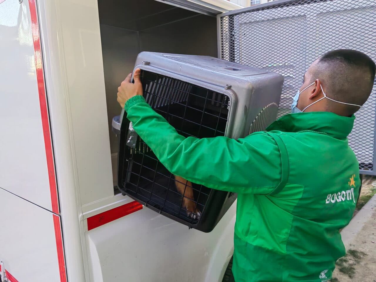 Cada unidad móvil cuenta con huacales para albergar a siete animales, seis medianos y uno de talla grande.