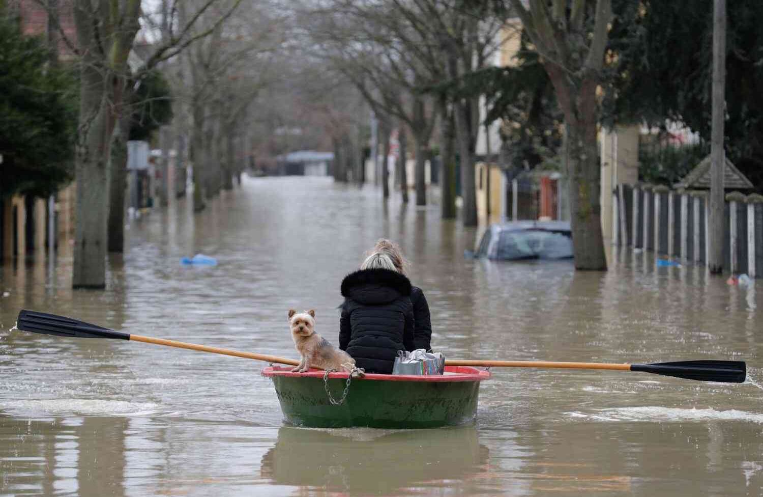 Una residente local y su perro van por una calle inundada en un bote de remos en Villeneuve-Saint-Georges, el 24 de enero de 2018. / AFP PHOTO / Thomas Samson.