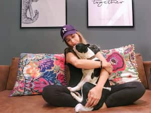 La proyección de Laika es ser la plataforma digital para mascotas número uno en América Latina.