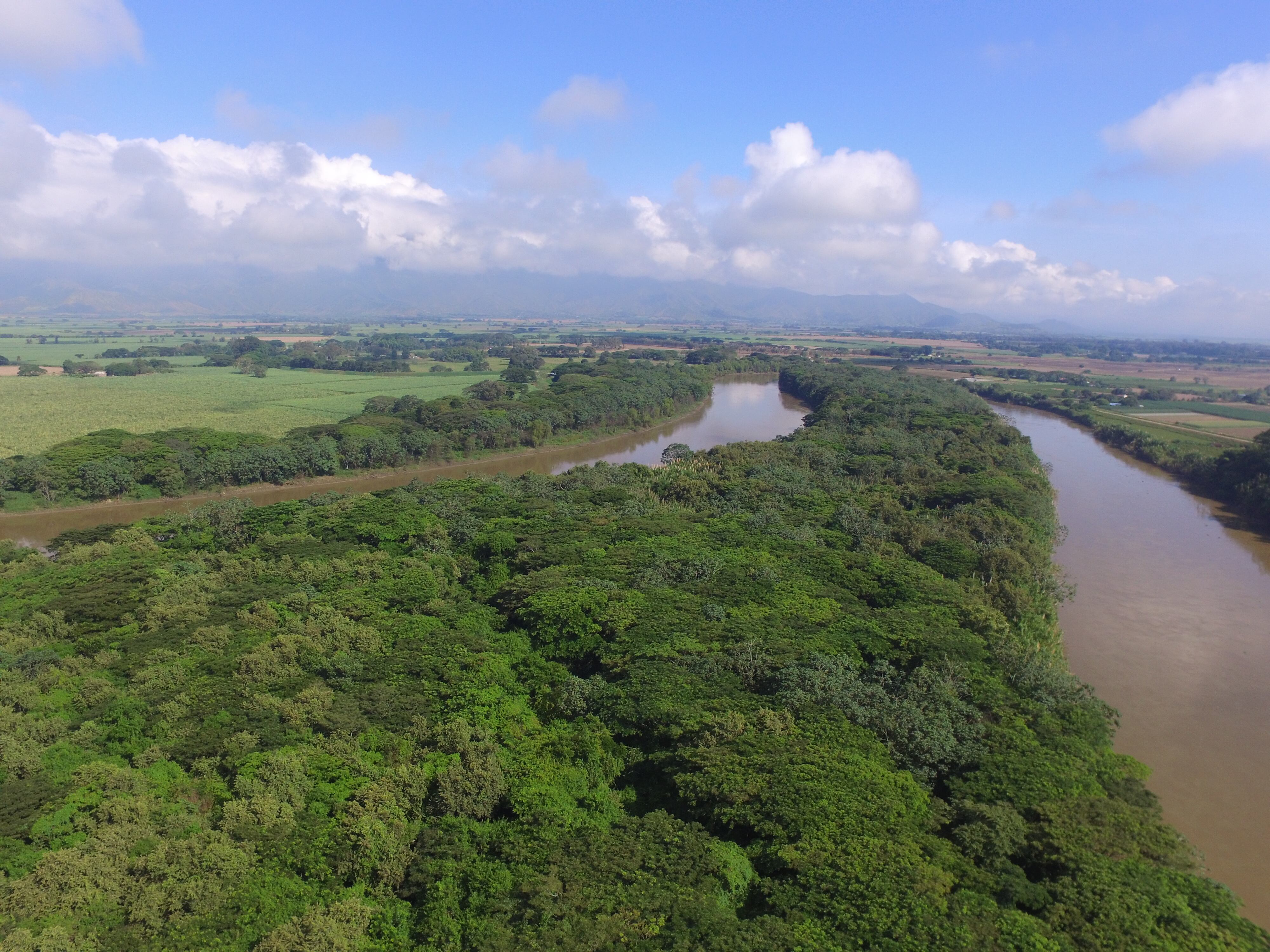 El Valle del Cauca cuenta con 642.591 hectáreas en 219 áreas protegidas.