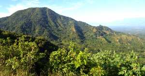 La Serranía del Perijá está ubicada entre los departamentos del Cesar, La Guajira y Norte Santander y limita con el estado de Zulia, en Venezuela. Foto: Corpoguajira