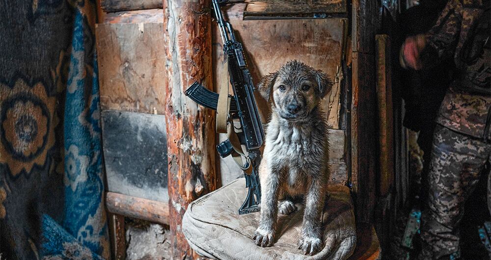 DOS AÑOS DE LA GUERRA  EN UCRANIA_11