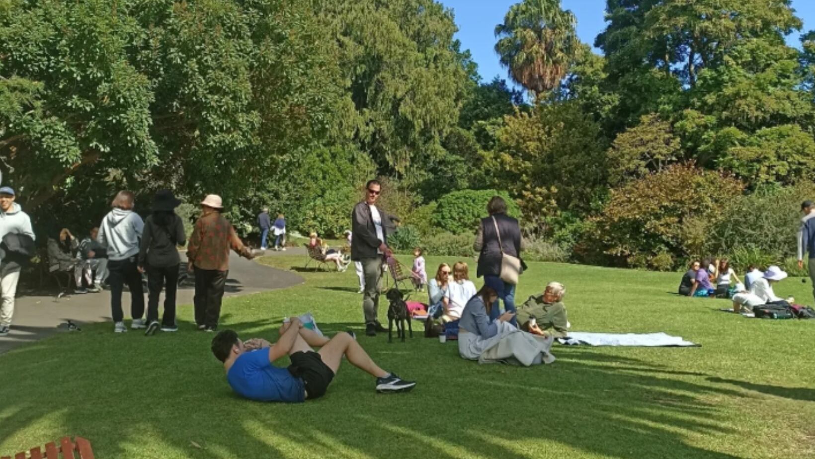 Real Jardin Botanico de Melbourne