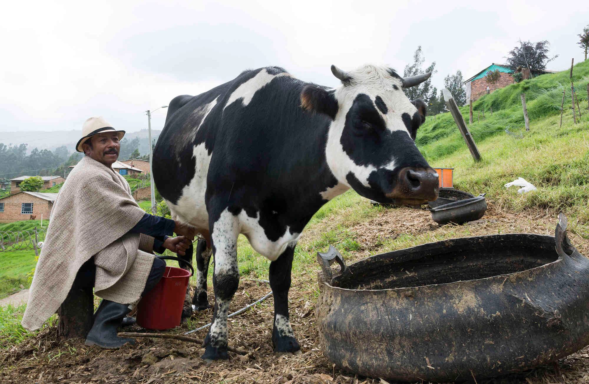 Foto: Gabriel González C. | Semana